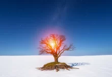 Photo of — Защита окружающей среды: наше общее дело