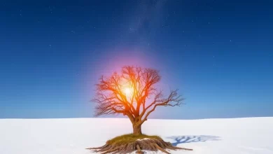 Photo of — Защита окружающей среды: наше общее дело